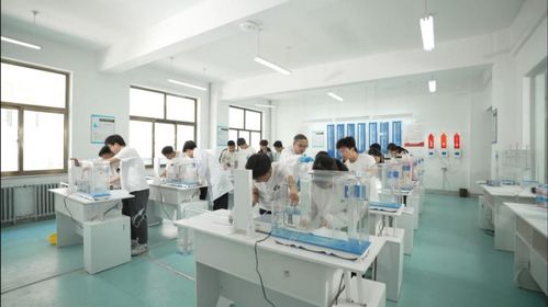 技能啟航未來，職教鑄就夢想——蘭州資源環境職業技術大學旅游信息咨詢服務專業建設探索
