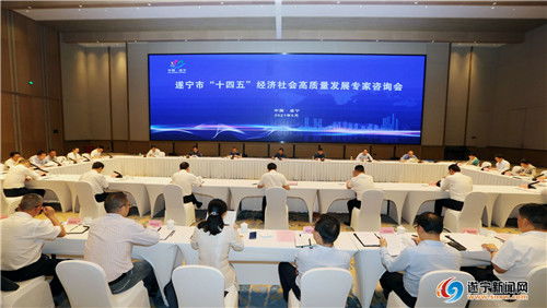 擘畫藍圖聚智慧，精準把脈謀發展——我市成功召開“十四五”經濟社會高質量發展專家咨詢會