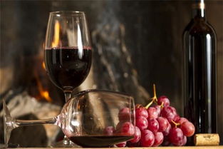 法國羅瑪尼葡萄酒 長城干紅 瑞年國際加盟