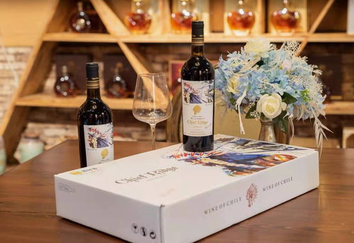 銀嘉資本商學院與酒好多商學院達成戰(zhàn)略合作